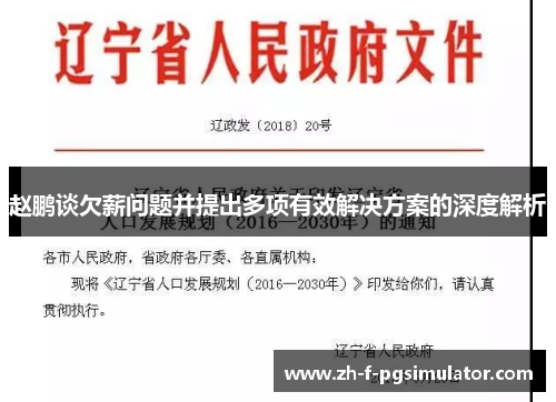 赵鹏谈欠薪问题并提出多项有效解决方案的深度解析