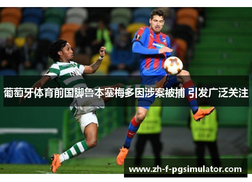 葡萄牙体育前国脚鲁本塞梅多因涉案被捕 引发广泛关注