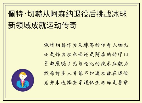 佩特·切赫从阿森纳退役后挑战冰球新领域成就运动传奇